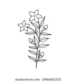 flowers and leaves clip art, hand drawn line art , doodle ,cute flowers  doodle