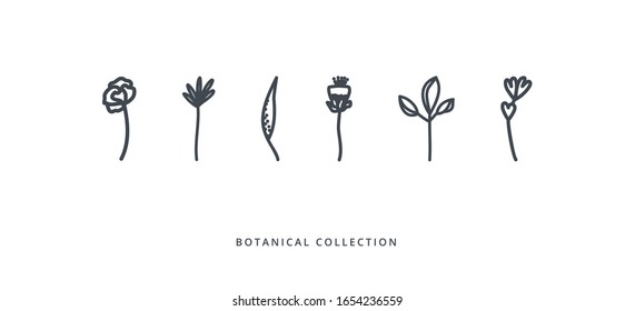 Flowers and leaves collection on white background. Doodles and sketches vector illustration design.