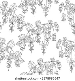 Flowers and leaves. Coloring page for children and adults.