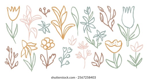 Flowers and leaves crayon drawn set. Spring tulip, daisy, chamomile and marguerite plants doodle. Chalk or pastel style childish shape. Vector naive pencil illustration isolated on white background.