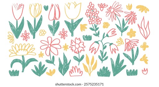 Flowers and leaves crayon drawn set. Spring tulip, daisy, chamomile and marguerite plants doodle. Summer floral kids floral shape. Vector pencil illustration isolated on white background.