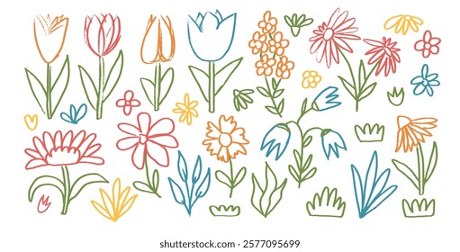 Flowers and leaves crayon drawn set. Spring tulip, daisy, chamomile and marguerite plants line doodle. Chalk or pastel style childish shape. Vector pencil illustration isolated on white background.