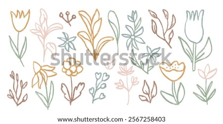 Flowers and leaves crayon drawn set. Spring tulip, daisy, chamomile and marguerite plants doodle. Chalk or pastel style childish shape. Vector naive pencil illustration isolated on white background.