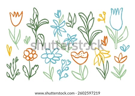 Flowers and leaves crayon drawn set. Spring tulip, daisy, chamomile and marguerite plants line doodle. Chalk or pastel style childish shape. Vector pencil illustration isolated on white background.