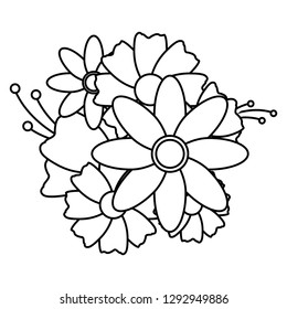 flowers leaves decoration on white background vector illustration