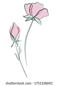 Blumen und Blätter. Feine Blumenmuster. Linie auf Aquarellhintergrund. Line Art, Skizze, Tinte, Freehand Zeichnung, Grafik. Vektorgrafik einzeln auf weißem Hintergrund.