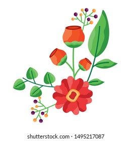 Flowers with leaves design, floral nature plant ornament garden decoration and botany theme Vector illustration