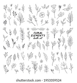 Flowers and leaves doodle collection. Hand drawn floral ornaments. Decorative plants illustrations.