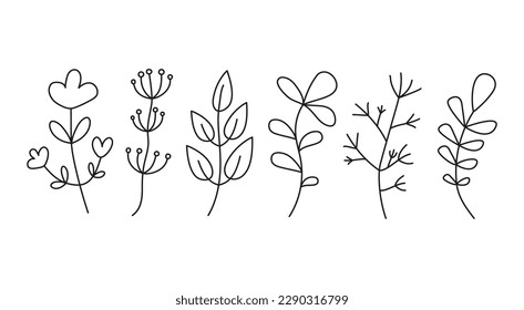 FLOWERS AND LEAVES, DOODLES. Set of simple drawings of plants. Collection , Abstract flower, branch, grass.  Floral branch and minimalistic leaves for logo or tattoo. Hand drawn line.