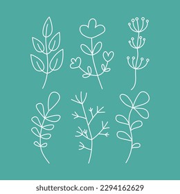 FLOWERS AND LEAVES, DOODLES. Set of simple drawings of plants. Collection , Abstract flower, branch, grass.  Floral branch and minimalistic leaves for logo or tattoo. Hand drawn line.