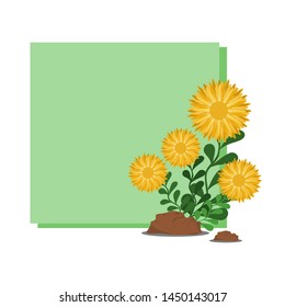 Flowers and leaves to the floor frame shapes on a white background