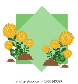 Flowers and leaves to the floor frame shapes on a white background