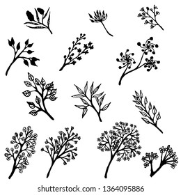 Flowers  and leaves with hand drawn.