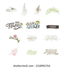 Flowers and leaves hand drawn illustrations. Set of logos for florals shops and studios