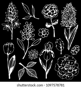 Flowers, leaves hand drawn isolated on black background. Floral design element set