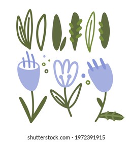 Flowers and leaves hand drawn vector illustration. Artistic flora, colorful plants doodle style drawing. Blooming flower buds and exotic foliage composition isolated on white background