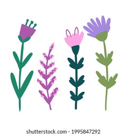 Flowers and leaves hand drawn vector illustration. Artistic flora, colorful plants doodle style drawing. Blooming flower buds and exotic foliage composition isolated on white background