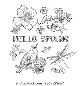 Flores y hojas Hola primavera. Decoración en primavera. Para imprimir en camisetas, impresiones, textiles, etiquetas