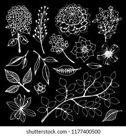 Flowers, leaves, herbs, branch. Hand drawn isolated on black background set