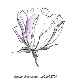 flowers and leaves invitation template vector illustration