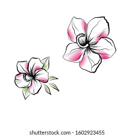 flowers and leaves invitation template vector illustration