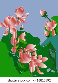 Flowers and leaves of the lotus - vector illustration. Background picture, background, pattern, decoration surface.