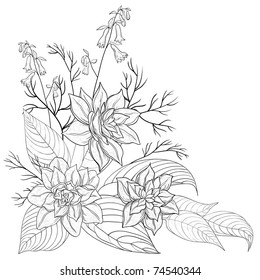 Flowers and leaves narcissuses, vector graphic, monochrome contours