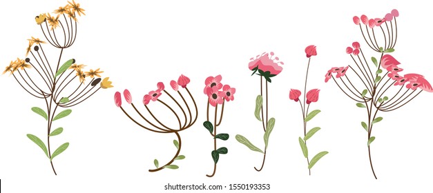 Flowers and leaves on a white background