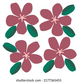flowers and leaves on a white background