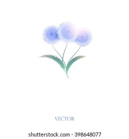 flowers with leaves on a white background. Vector illustration