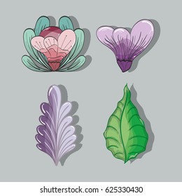 flowers and leaves plants herbal botany set