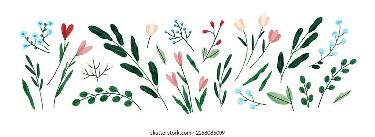 Flores, hojas, plantas, hierbas. Resumen de elementos florales, estribos, ramas para la decoración. Moderno paquete botánico decorativo. Ilustración vectorial gráfica plana aislada en fondo blanco