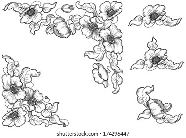 Flowers and leaves of the poppy. Vector set of floral elements for design at engraving style. 
