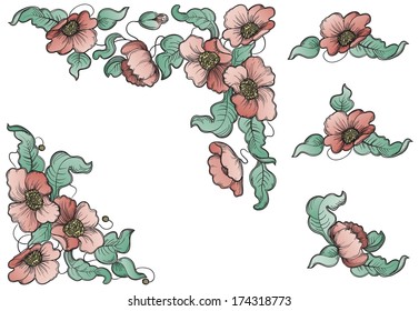 Flowers and leaves of the poppy. Vector set of floral elements for design at color engraving style. 