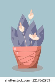 Flowers with leaves in pot. Vector illustration.