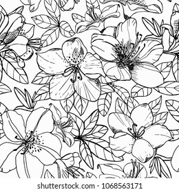 Flowers and leaves seamless pattern with isolated hand drawn plants in sketch style vector illustration
