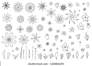 Flowers and leaves sketch set.  Collection of hand drawn style objects.  Vector ilustration.