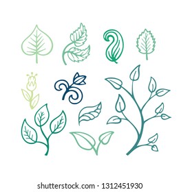 Flowers, leaves and stems hand drawn vector illustrations set. Plants simple sketch drawing.
Floral design elements.
