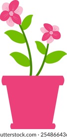 flowers leaves stems in a pot beautiful nature plant garden