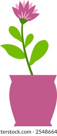 flowers leaves stems in a pot beautiful nature plant garden