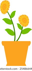 flowers leaves stems in a pot beautiful nature plant garden