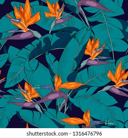 flowers and leaves strelitzia, seamless vector pattern with tropical plants