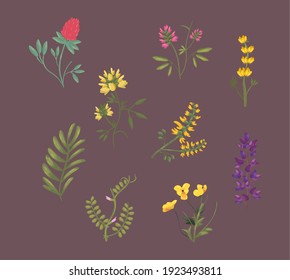 flowers with leaves symbol bundle design, natural floral plant and ornament theme Vector illustration