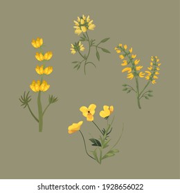flowers with leaves symbol group design, natural floral plant and ornament theme Vector illustration