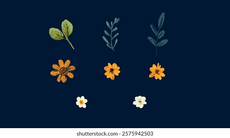 Flowers and leaves vector illustration elements isolated on dark background