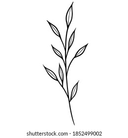Flowers leaves vector illustration line work