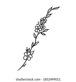 Flowers leaves vector illustration line work