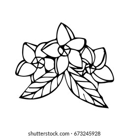 Flowers with leaves vector illustration on white background. Doodle style. Design icon, print, logo, poster, symbol, decor, textile, paper, card. 