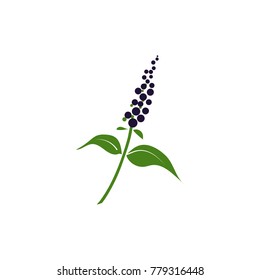 flowers, leaves vector illustration on white background