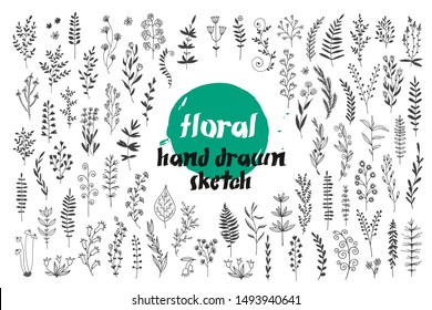 Flowers and leaves vector set, hand drawn doodle collection for decorative design, cards, invitations, isolated on white background